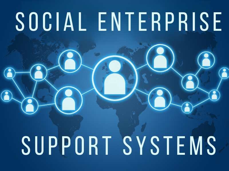 Social Enterprise Support Systems.2